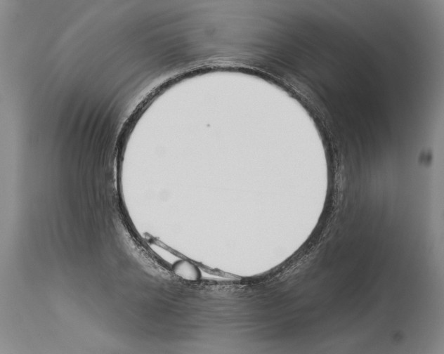X0000113930934200911061216