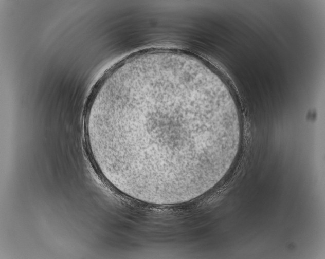 X0000113930935200911061216