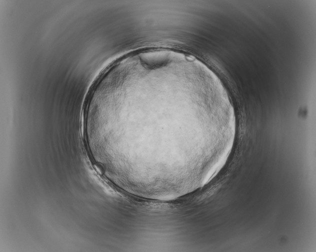 X0000113930940200911061216