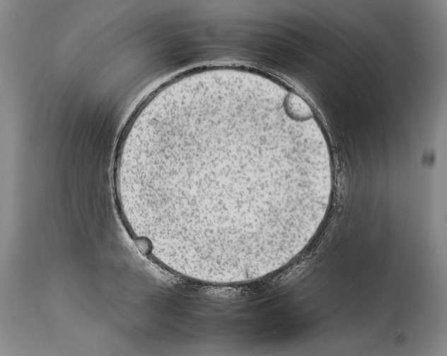 X0000113930943200911061216