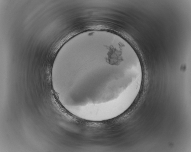 X0000113930945200911061216