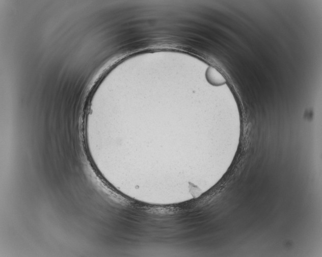 X0000113930947200911061216