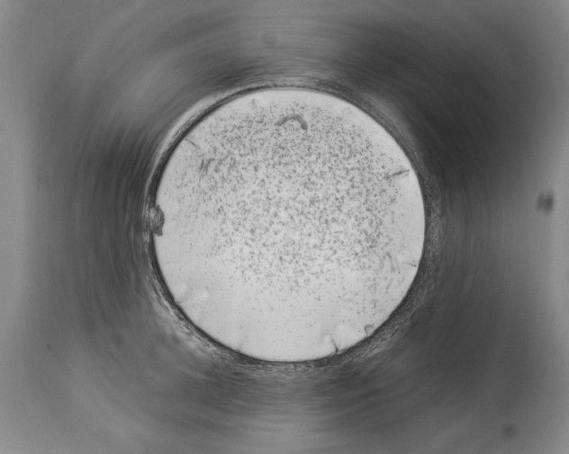 X0000113930948200911061216