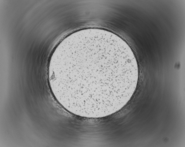 X0000113930950200911061216