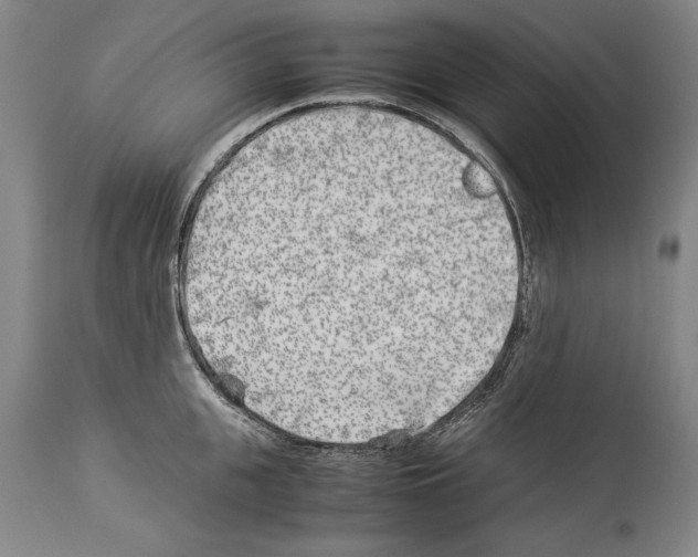X0000113930951200911061216