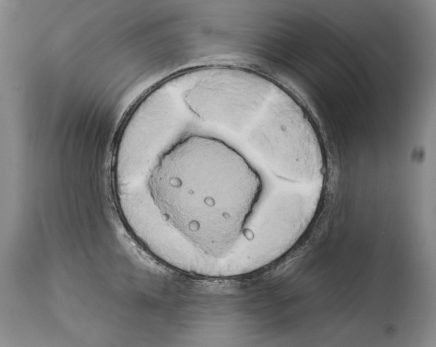X0000113930952200911061216