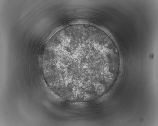 X0000113930953200911061216