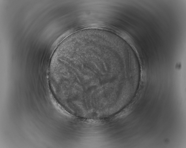 X0000113930954200911061216