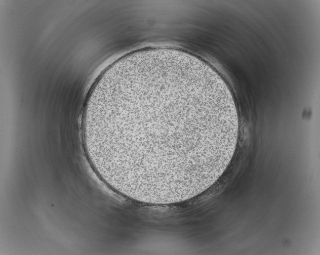 X0000113930959200911061216
