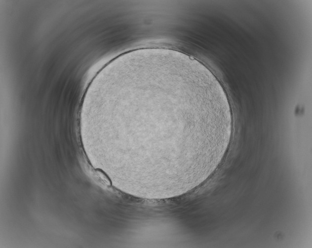 X0000113930960200911061216