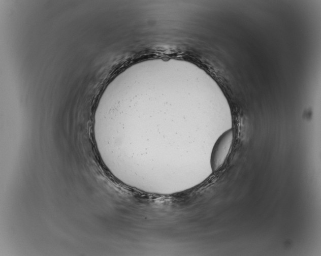 X0000113930961200911061215