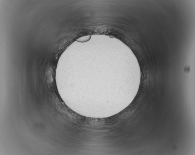 X0000113930962200911061215