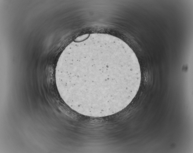 X0000113930964200911061215