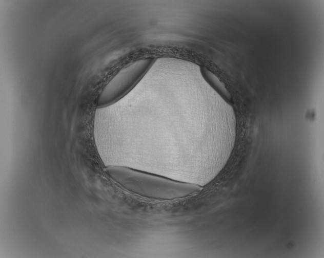 X0000113930965200911061215