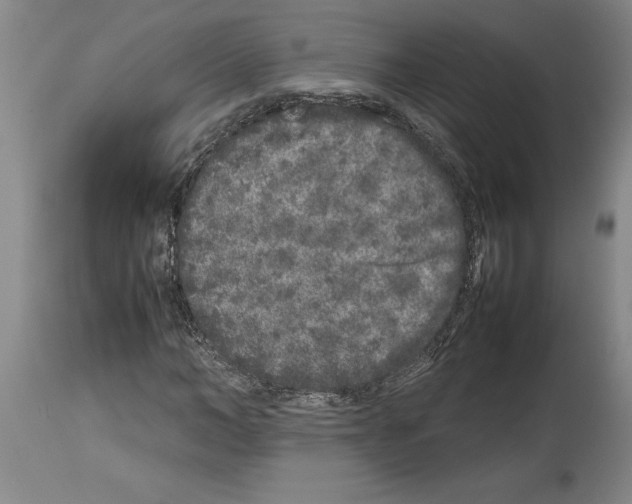 X0000113930966200911061215