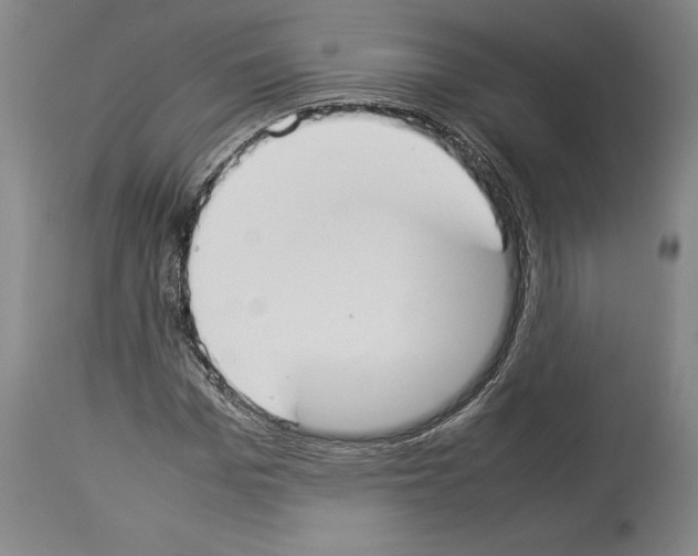 X0000113930969200911061215