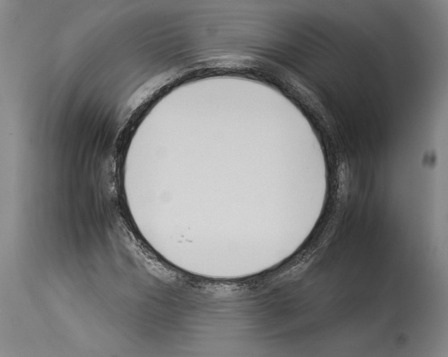 X0000113930970200911061215