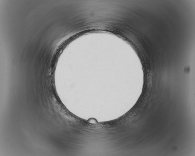 X0000113930971200911061215