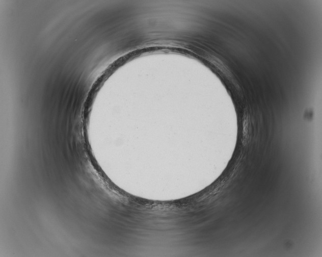 X0000113930972200911061215