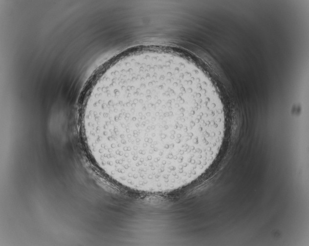 X0000113930974200911061215