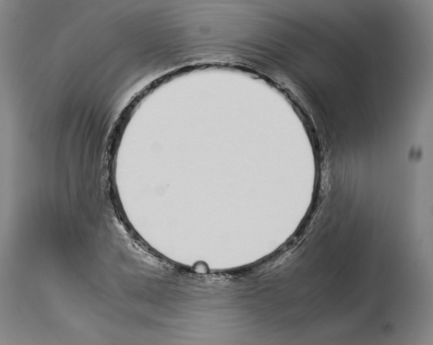 X0000113930975200911061215