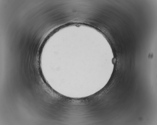 X0000113930976200911061215