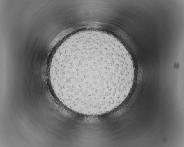 X0000113930978200911061215