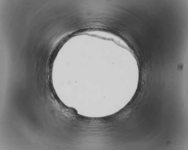 X0000113930979200911061215