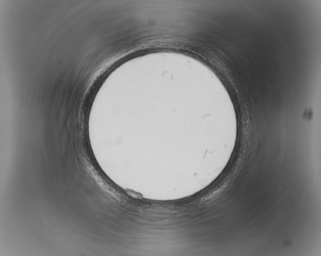 X0000113930981200911061215