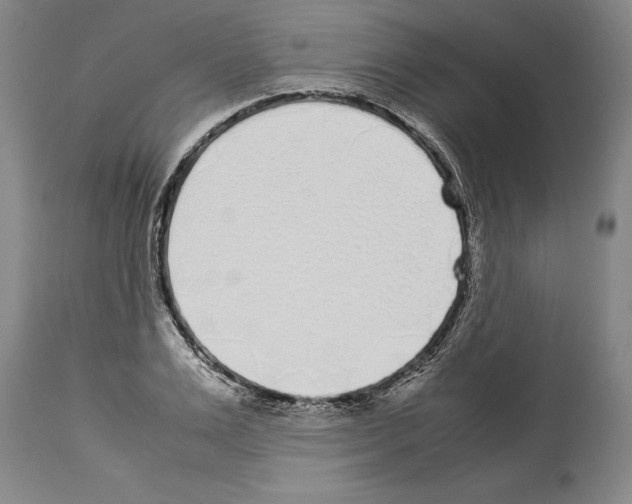 X0000113930983200911061215