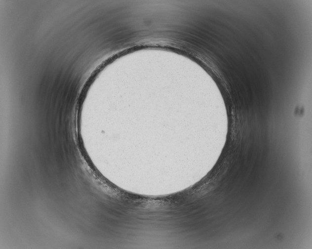 X0000113930984200911061215