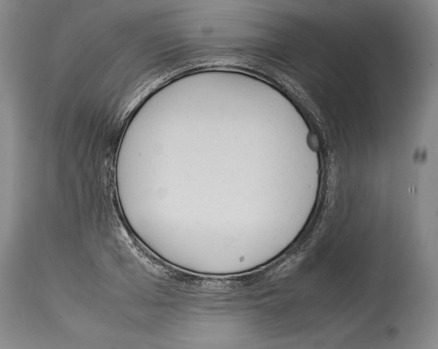 X0000113930985200911061215