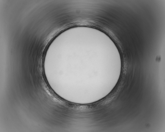 X0000113930986200911061215