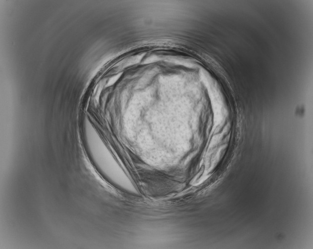 X0000113930989200911061215