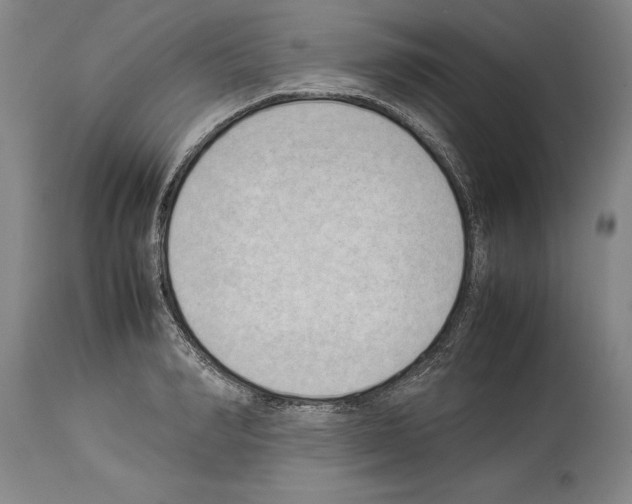 X0000113930990200911061215