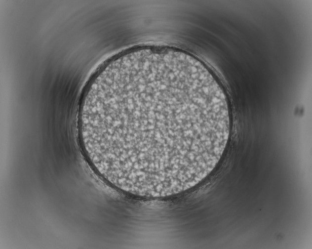 X0000113930992200911061215