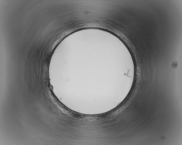 X0000113930993200911061215