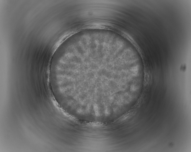 X0000113930994200911061215