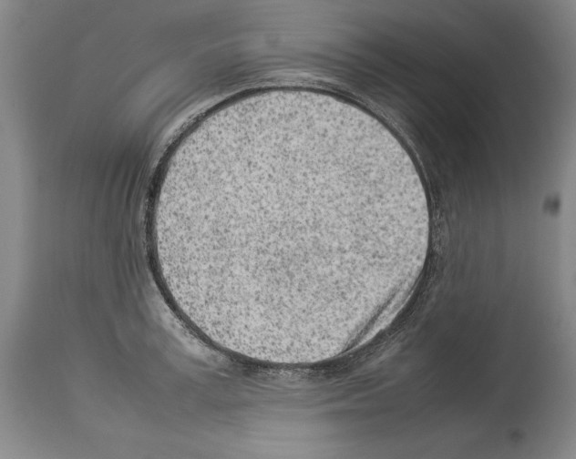 X0000113930995200911061215