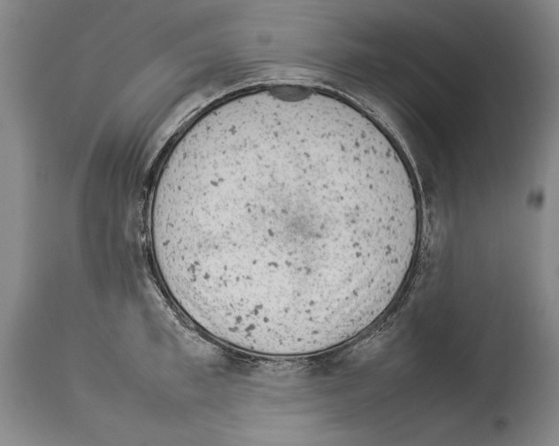 X0000113930997200911061215
