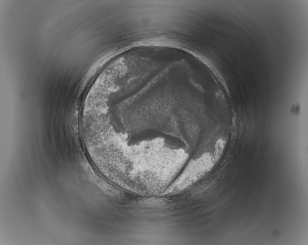 X0000113930998200911061215