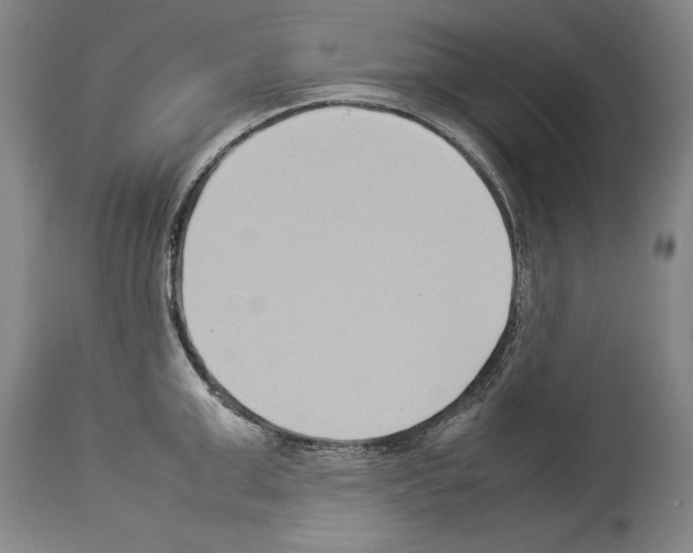 X0000113930999200911061215