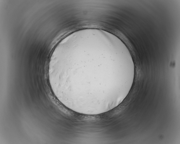 X0000113931002200911061215