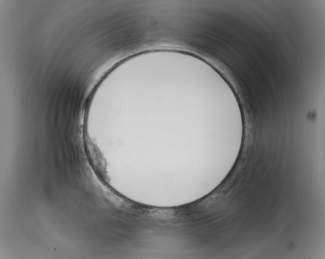 X0000113931006200911061215