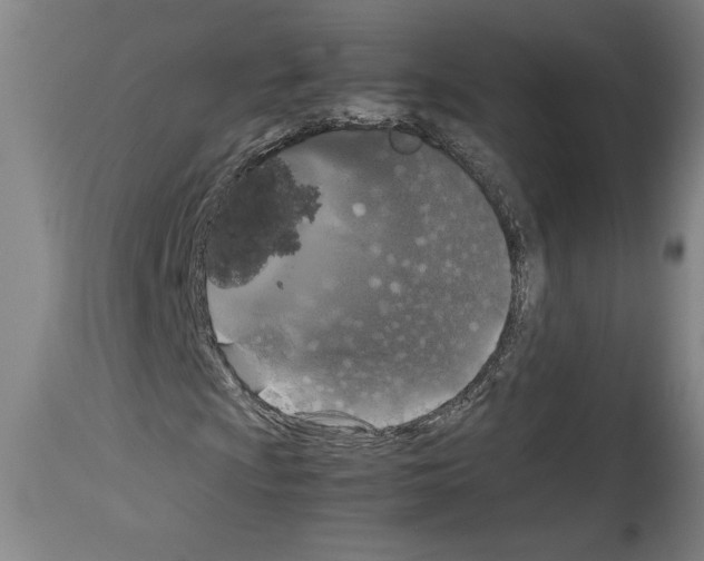 X0000113931009200911061214