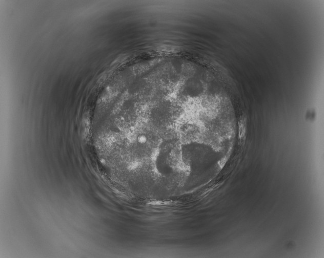 X0000113931011200911061214