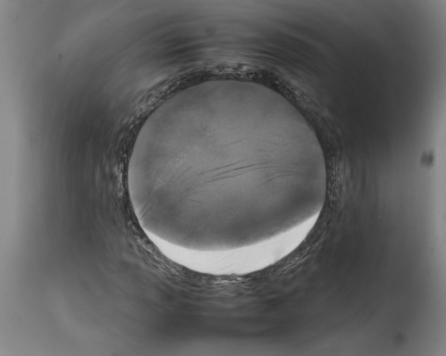X0000113931013200911061214