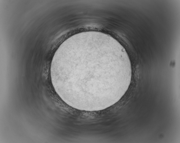 X0000113931015200911061214