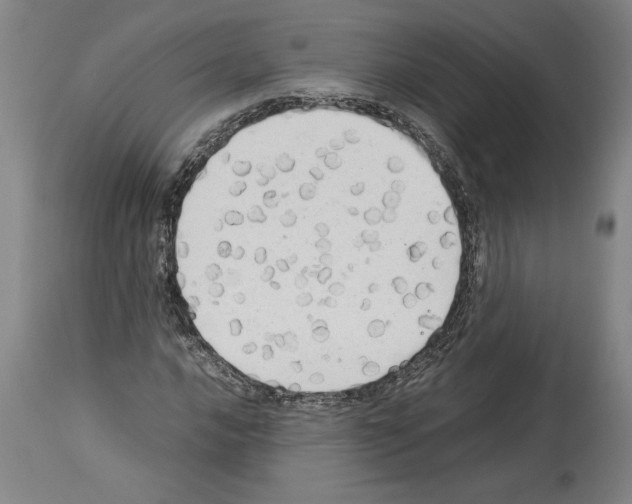 X0000113931016200911061214