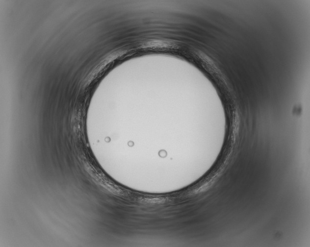 X0000113931017200911061214